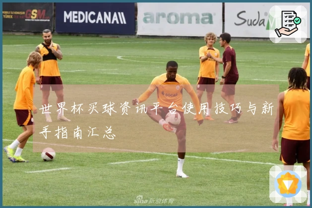 世界杯买球资讯平台使用技巧与新手指南汇总
