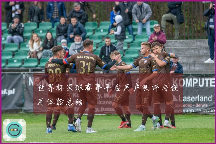 世界杯买球赛事平台用户测评与使用体验总结