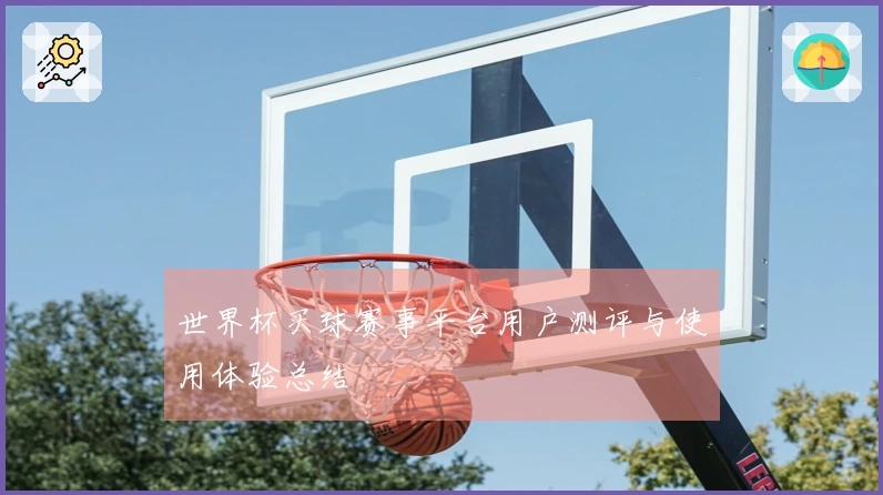 世界杯买球赛事平台用户测评与使用体验总结