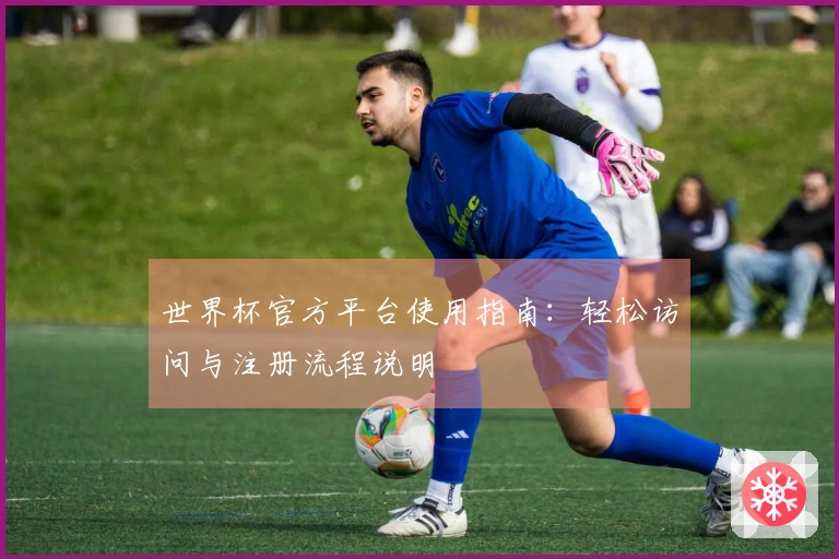 世界杯官方平台使用指南：轻松访问与注册流程说明