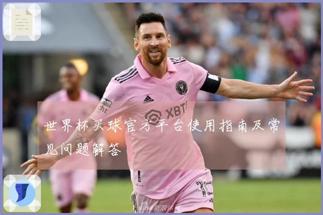 世界杯买球官方平台使用指南及常见问题解答