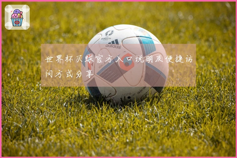 世界杯买球官方入口说明及便捷访问方式分享