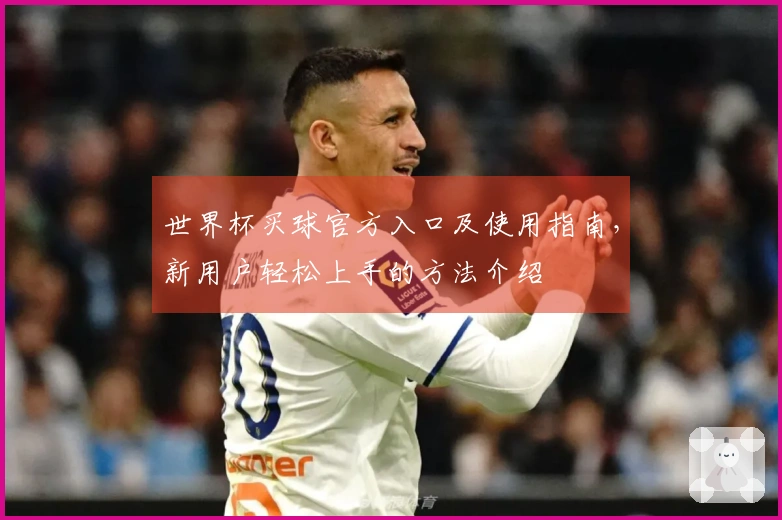 世界杯买球官方入口及使用指南，新用户轻松上手的方法介绍